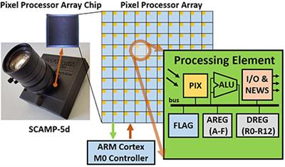 On-sensor binarized CNN inference with dynamic model swapping in pixel processor arrays